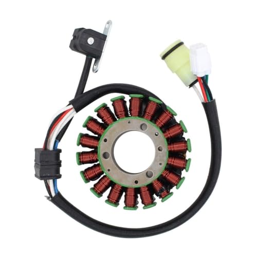 Bobine Stator Magnéto YFM250 pour Randonnée Sans Panne de Quad