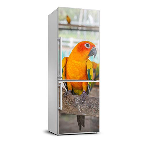 Pegatinas de loro exótico para dar un toque tropical a la cocina y sala de estar 2