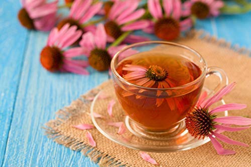 Sow Right Seeds - Herbal Tea Collection - Lemon Balm, Chamomile, Mint, Lavender, Echinacea Herb Seed For Planting; Non-Gmo Heirloom Seed, Instructions To Plant Indoor Or Outdoor; Great Gardening Gift #TOP6