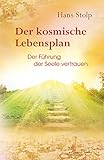 Der Kosmische Lebensplan: Der Führung der Seele vertrauen