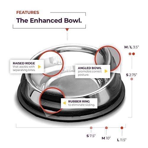 3 In 1 Pack Of Enhanced Pet Bowl & Salmon And Sweet Potato Premium Dog Treats. - 1 Enhanced Pet Bowl & 2 Salmon And Sweet Potato Premium Dog Treats. #TOP4