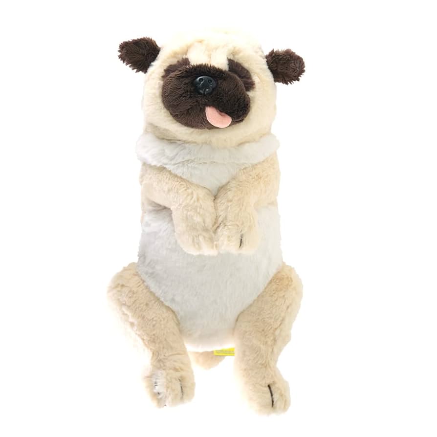 Amazon.co.jp: サンレモン(Sun Lemon) ひざ わんこ パグ