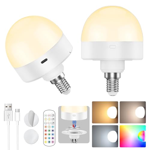 VIIVUU Wiederaufladbare LED Glühbirne E14 mit Fernbedienung - 15RGB Akku Dimmbar mit Timing Funktion, USB C und Batterie, 2 Stück