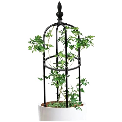 Enrejado de obelisco para jardín de 90 cm de Alto Redondo Resistente a la corrosión para Plantas trepadoras de Bricolaje fácil de Montar para macetas Plantas trepadoras de jardín de Interior.