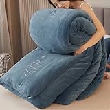 YWQJL Federdecke Daunenbettdecke Dicke Bettdecke Warm Winter Plüsch Steppdecke Ohne Bezug 150x200 Baumwolle Winterbettdecke Wende-Design Kuscheldecke Winterdecke(#2,150x200cm/2kg)