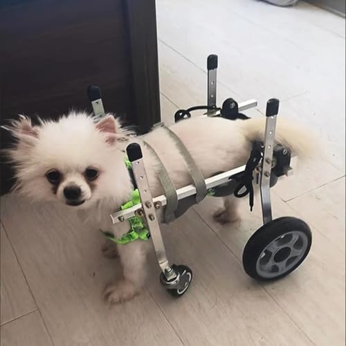 Fauteuil roulant pour chien avec support de hanches et attelle de jambe pour petit chien