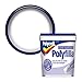 Price comparison product image Polycell PLCFSF500GS Fine Surface Filler Tub, 500 g, White