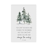 LianTianHong CS Lewis Quote, Recovery Anniversary, You Can't Go Back And Change The Beginning, Sobriety Gift, Alcoholics Anonymous, Narcotics Anonymous, Unframe 20x30inch