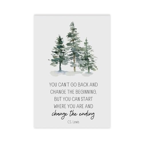 LianTianHong CS Lewis Quote, Recovery Anniversary, You Can't Go Back And Change The Beginning, Sobriety Gift, Alcoholics Anonymous, Narcotics Anonymous, Unframe 12x18inch