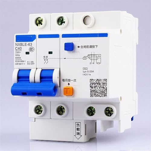 Disjoncteur différentiel 63A protection surcharges NXBLE-63 2P