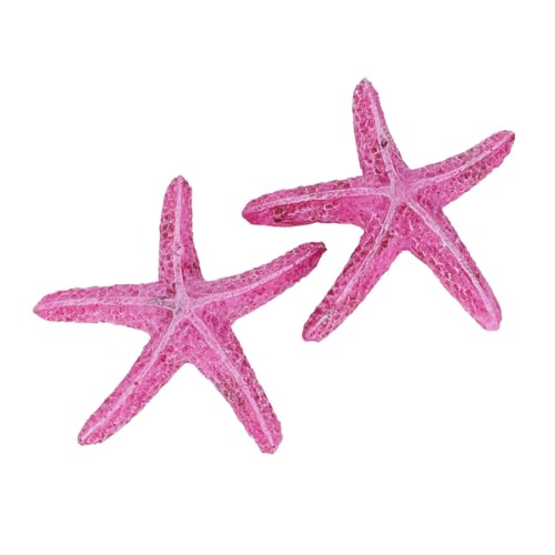 CHICAMPERA 2 i yʑϋv lHC r[` ^NpR~jI[ig