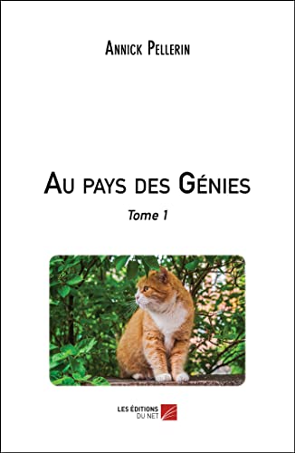 Au pays des Genies: Tome 1