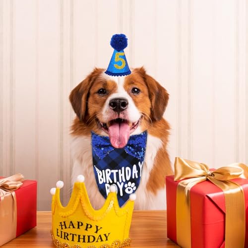 Hunde Geburtstag Hut Bandana Set - Hüte Schleifen Fliege Und Halstücher Zum Hund Geburtstags Mit Zahlen Für Haustier Kostüme Happy Birthday Party Dekorationen Accessoires(Blau)