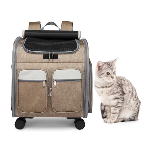 haoyunjianjiak ybgL[obO 4way L  bNJ[g LX^[t ^ e ybgpOoobO (J[L,L (41×30×43cm))