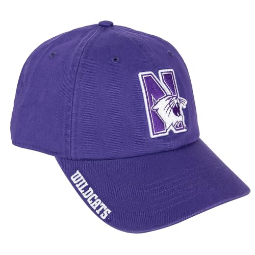 Desert Cactus Northwestern University Baseball Hat NU Wildcats Brimmed Embroidered Hats Cap Adjustable Cloth Strap Adult (Style P) Purple