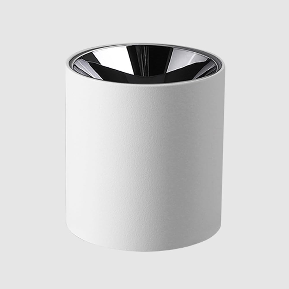 Reflektor Sufitowy Led, Cylindryczny, Kierunkowy, Punktowy, Punktowy, 2,56 Cala, Reflektory Sufitowe, Białe, Aluminiowe, Do Korytarza, Sypialni, Salonu/（Svart3000K-10W）