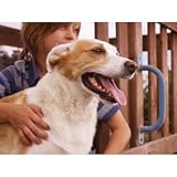 PetSafe Staywell Haustiertüre Original aus Kunststoff mit 2 Verschlussoptionen, Für Haustiere bis zu 45 kg, Größe L, Weiß