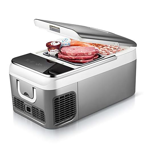 Bil kylskåp kompressor frys, multifunktionell elektrisk mini kylskåp 12 V, utomhus resor självkörande camping 18L12V