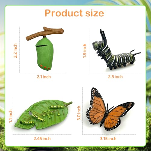 Lukinuo Schmetterling Lebenszyklus Spielzeug Figuren 4pcs Realistische Raupe zu Monarch Schmetterling Lebensstil Wachstumsstufen Insekt Figuren Playset Lehrwerkzeuge für Kinder Party Gefälligkeiten