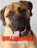  Bullmastiffs Fotobuch: Bilderbuch mit 40 perfekten und entzückenden Fotos dieses Hundes  Tolle Geschenke für Kinder und Erwachsene zum Entspannen und Spaß haben.