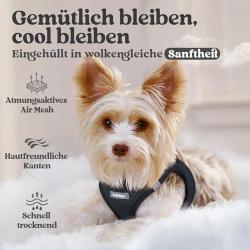 rabbitgoo Hundegeschirr Kleine Hunde, Step-in Welpengeschirr Weich Mesh für Spaziergänge, Atmungsaktives und Reflektierendes Brustgeschirr für Kleine und Mittelgroße Hunde, Schwarz, L