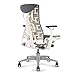 CHAIRORAMA Certified Refurbished Embody Gray Chair, Pixelated Support, Backfit Adjustment, Advanced Ergonomic Office Chair for Healthy Movement, Balanced Posture, 12-Year Warranty