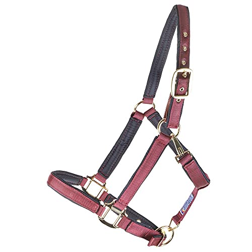 Dura-Tech Deluxe Fully Padded Breakaway Horse Halter | Full Size - Burgundy | 1” Double Ply Nylon Web Overlay | Heavy-Duty Hardware | Semi Custom Fit | 3-Point Cheek Attachment #TOP2