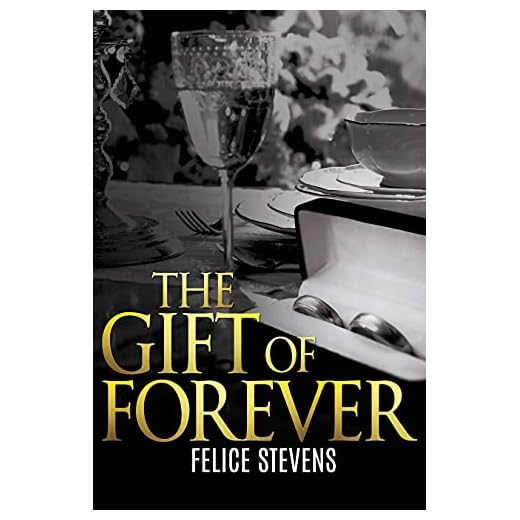 The Gift of Forever: A Christmas M/M romance (Lost in New York Book 4)