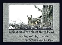 Look at Me.... I'm a Great Horned Owl in a Bog with My Friends! 1963746244 Book Cover