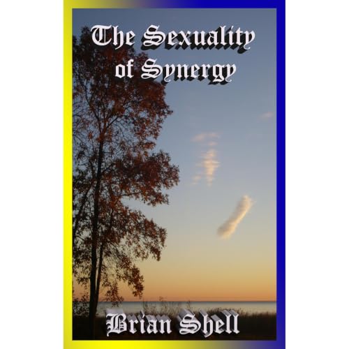The Sexuality of Synergy Audiolibro Por Brian Shell arte de portada