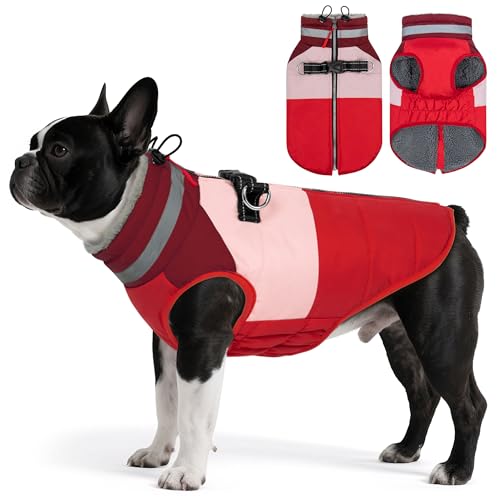 Vitiswap pR[g ^ h g pEB^[WPbg n[lXAˎq hR[g WbvAbvybgxXg t[Xnt pXm[X[cAbh X[