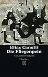 Die Fliegenpein: Aufzeichnungen (Elias Canetti, Werke (Taschenbuchausgabe)) - Elias Canetti 