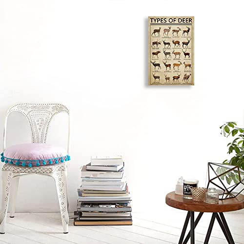 Deer Wall Art Knowledge Poster Canvas Framed Wall Art Deer Prints Picture Poster Educational Wall Art Vintage Painting Animal Posters Framed (12X18 Inch) #TOP4