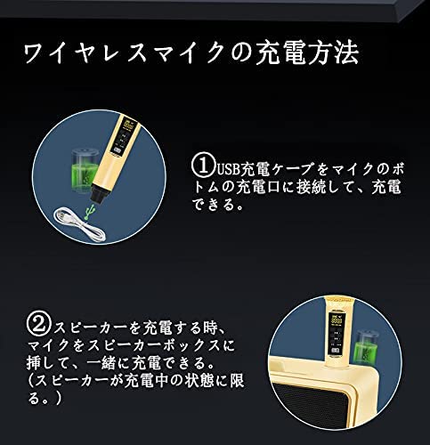 M2252-105-77】カラオケマシン ワイヤレス ゴールド M2252-105-77