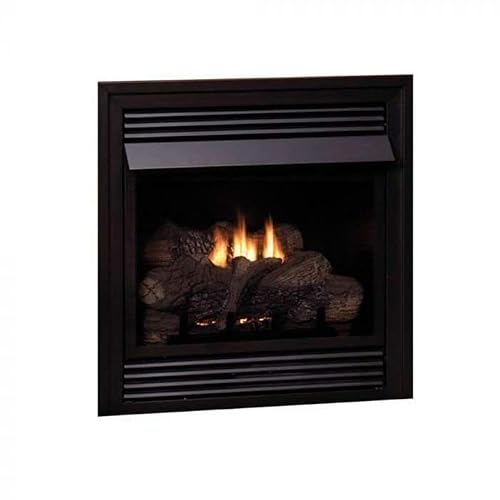 Empire VFD26FP30L10P Fireplace Image
