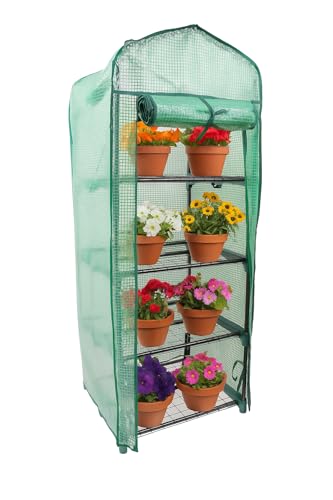 DIVCHI Greenhouse 4 Tier Mini Green House For Indoor & Outdoor Use Heavy Duty Garden Grow House Ideal For Growing Vegetables, Flowers, Herbs, And Seedlings