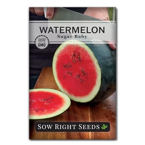 Sow Right Seeds - Sugar Baby Watermelon Seed for Planting - Non-GMO Heirloom Packet with Instructions to Plant a Home Vegetable Garden - Medium Sized with Dark Rind and Super Sweet Flesh (1)