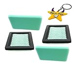 Race-Guy 2x Air Filter For BRIGGS & STRATTON 271933 4146 491435 491435S Honda OEM Part#