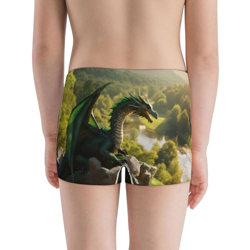 Boys' Cotton Boxer Brief Soft Underwear-Deep Forest Stone Green Dragon3
