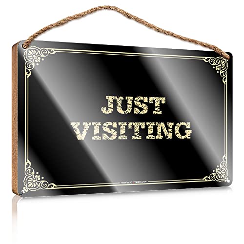 Wooden Plaques For Crafts Just Visiting Wooden Sign Desk Accessories For Women Hanging Wall Signs(23X35CM)