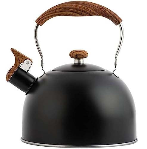 Théière bouilloire supérieure 2,5 L en acier inoxydable brossé pour induction
