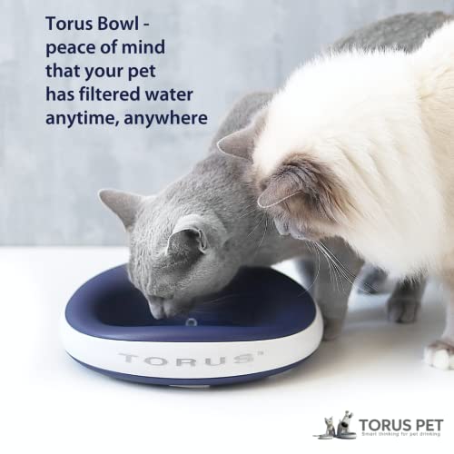 Torus Pet Mini Filtered Water Bowl (Charcoal) - 1 Liter - Home And Travel Bowl - Autofill - Portable - Bpa Free - Cat - Small Dog #TOP5