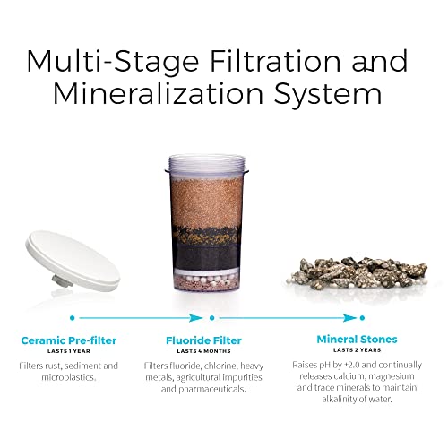 Santevia Gravity Water System Filter | At Home Water Filter That Makes Water Alkaline And Adds Minerals | Chlorine And Fluoride Filter (Countertop Model) #TOP6