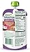 Sprout Organic Toddler Smoothie, Dairy Free Berry Grape, 4 Ounce Pouch (Pack of 6)