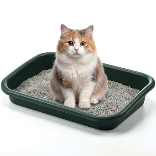 Uiifan 1 Pcs Low Entry Senior Cat Litter Box Pet Low Entry Litter Box for…
