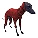 Xoeryoy Greyhound Sweater for Dogs, Cotton Greyhound Pajamas Four-Legged Clothes Hooded Whippet Pajamas Stretchable Warm Dog Coat L