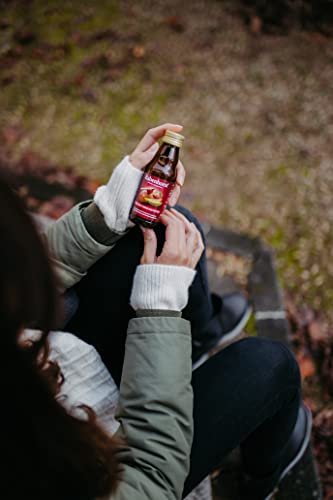 Rabenhorst Probierpaket Mini, 8 Sorten à 3 Flaschen (24 x 125 ml), 3 l (24er Pack)