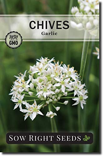 Sow Right Seeds - Chive Seed Collection For Planting - Grow Both Common Chives And Garlic Chives For Your Kitchen - Non-Gmo Heirloom Seeds With Instructions To Plant, Indoor Or Outdoor; Great Garden #TOP1