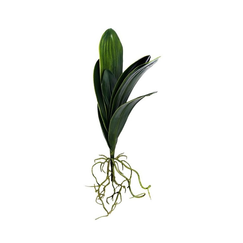 Floristrywarehouse Green Artificial Orchid Leaf And Trailing Root Bundle 48Cm/19 Inches