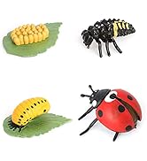 Small manufacture image 9